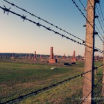 Auschwitz - Birkenau - All that remains