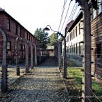 Auschwitz - Birkenau - Auschwitz