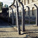 Auschwitz - Birkenau - Auschwitz