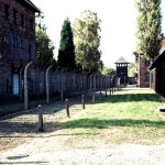 Auschwitz - Birkenau - Auschwitz