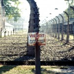 Auschwitz - Birkenau - VORSICHT